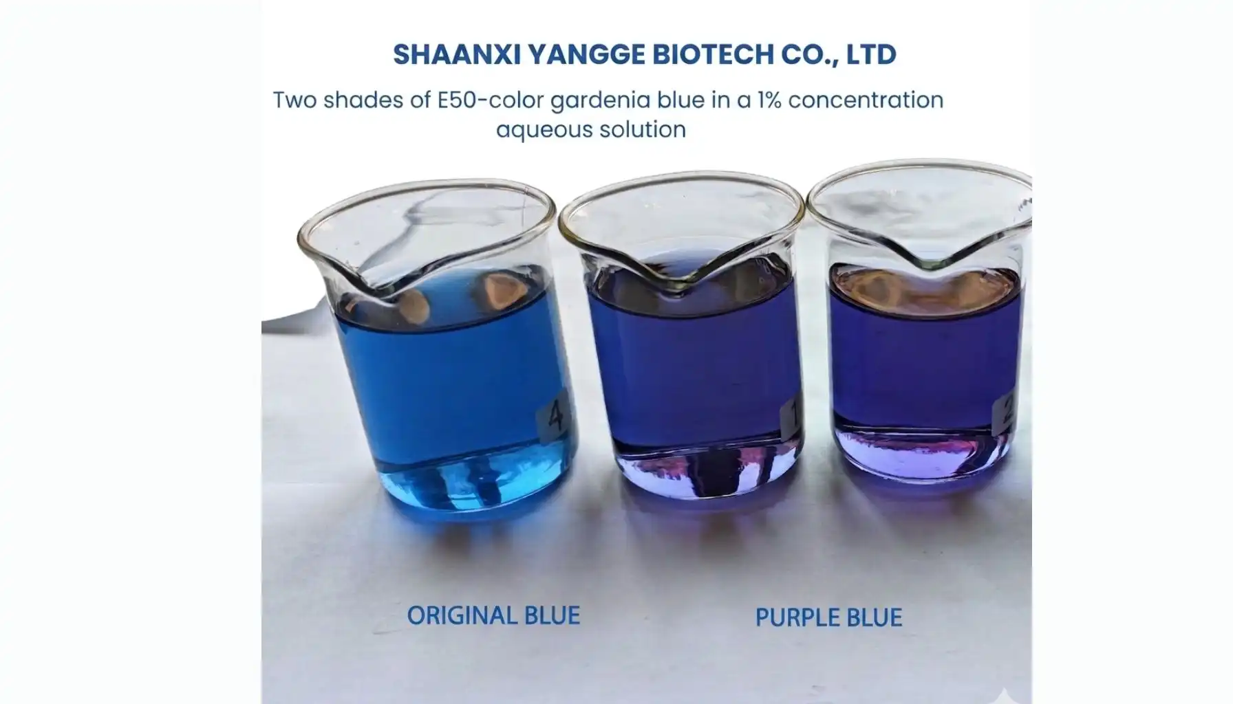 info@yanggebiotech.com (12).jpg